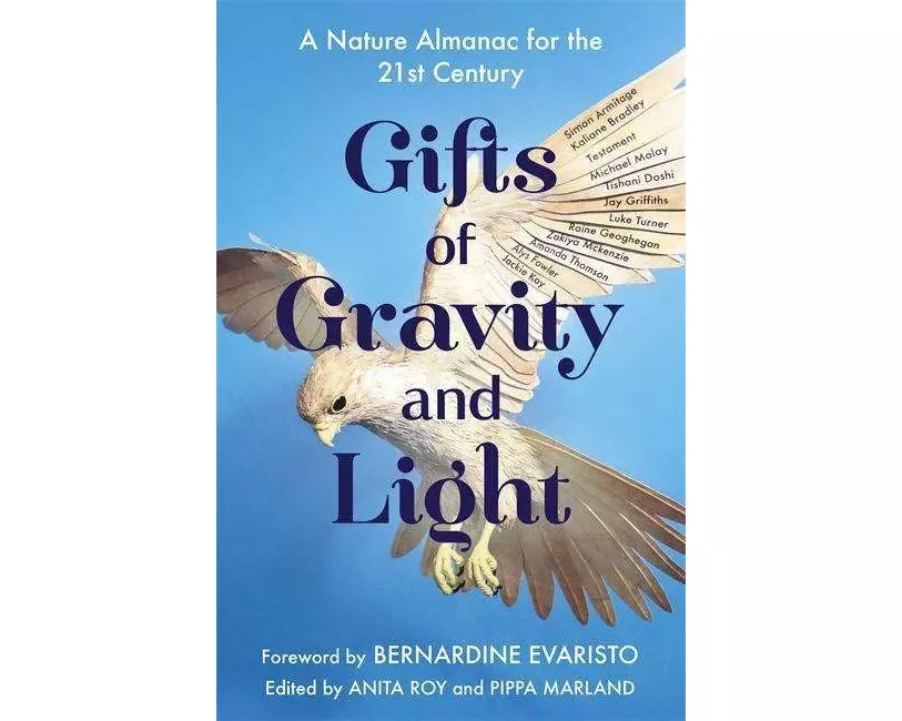 Gifts of Gravity and Light