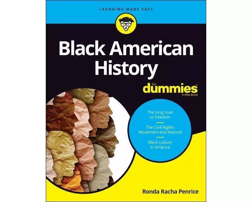 Black American History For Dummies
