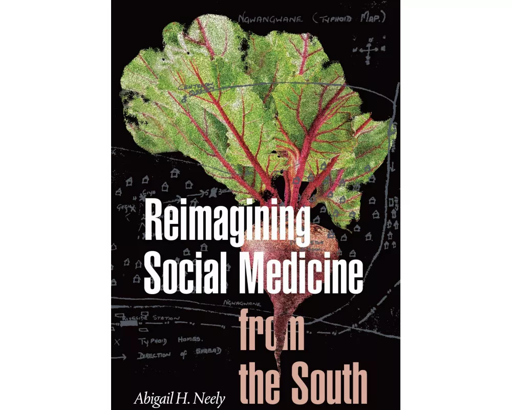 Reimagining Social Medicine from the South