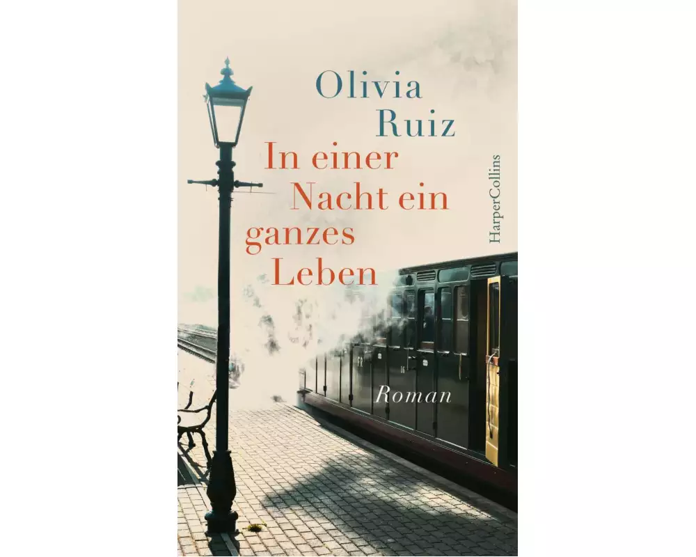 In einer Nacht ein ganzes Leben