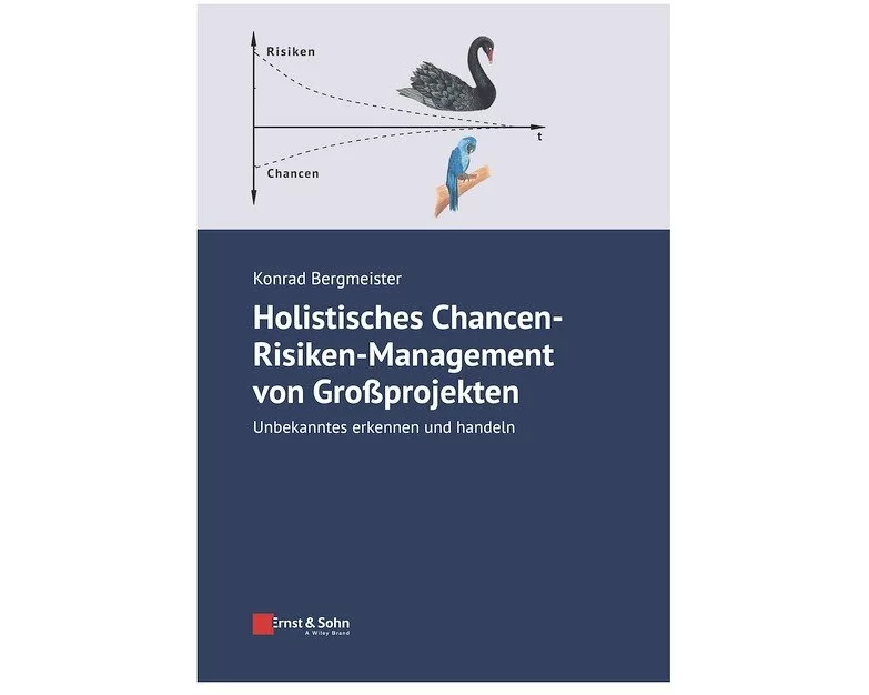 Holistisches Chancen-Risiken-Management von Großprojekten