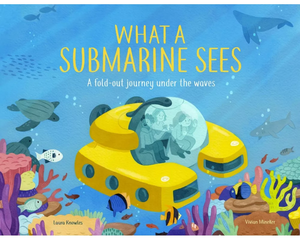 What a Submarine Sees