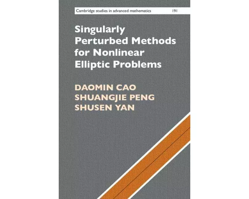 Singularly Perturbed Methods for Nonlinear Elliptic Problems