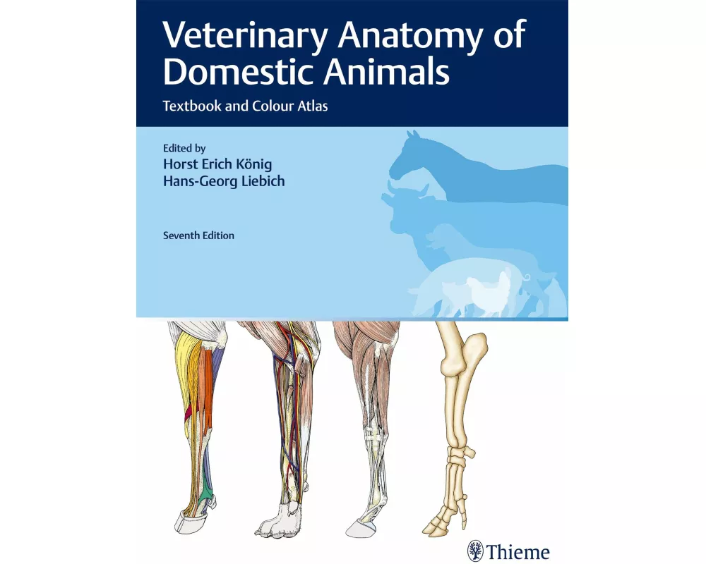 Veterinary Anatomy of Domestic Animals