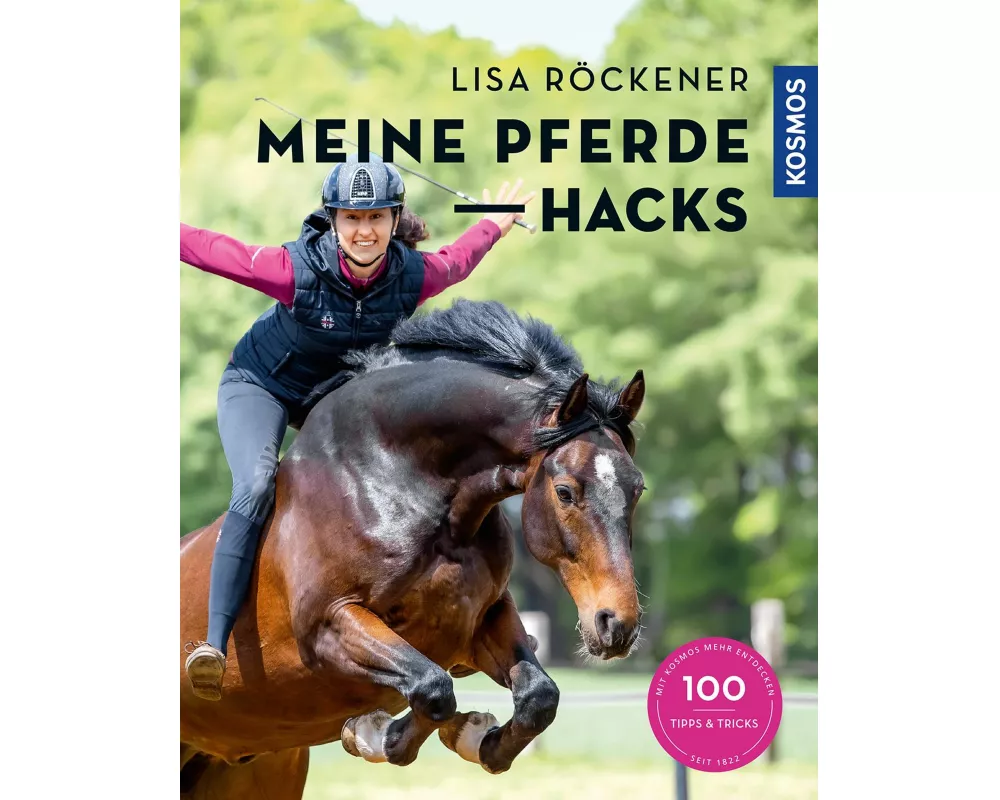 Meine Pferde Hacks