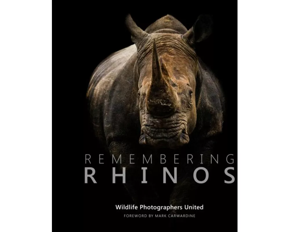 Remembering Rhinos