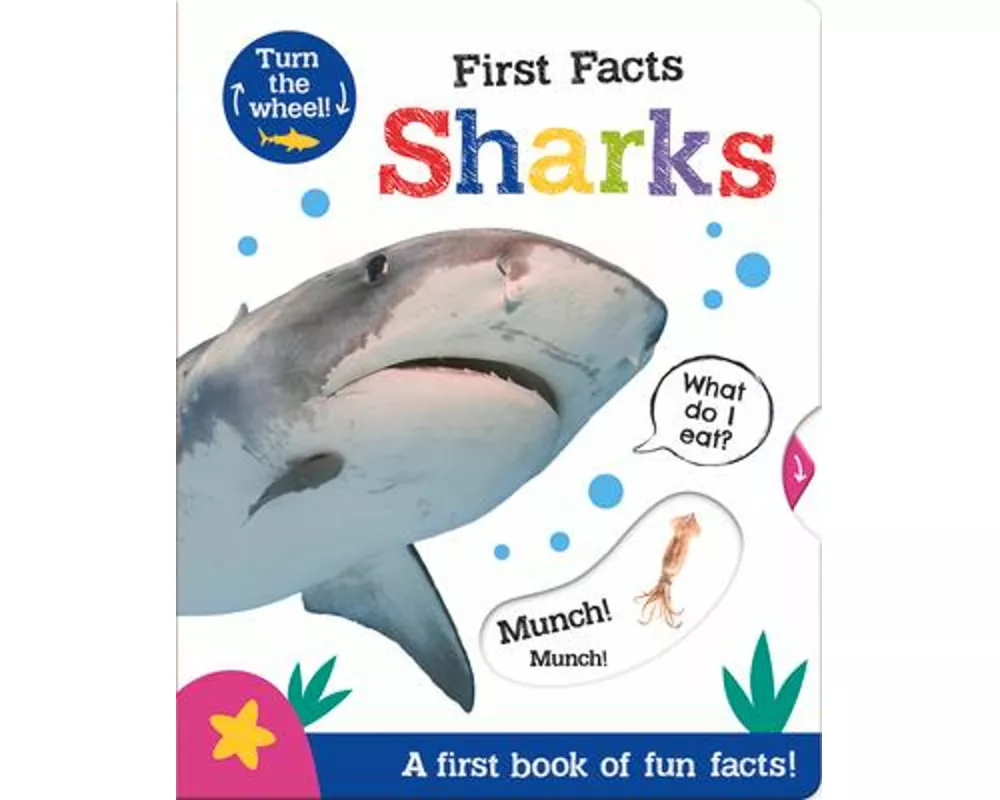 First Facts Sharks