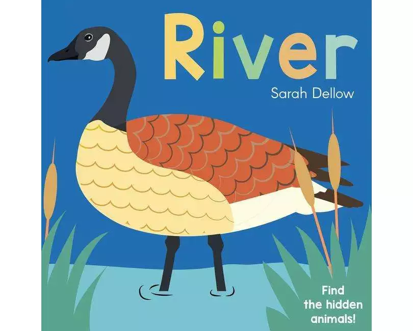 Now you See It! River