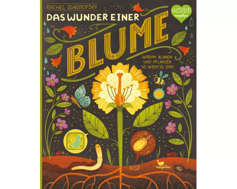Das Wunder einer Blume - Warum Blumen und Pflanzen so wichtig sind