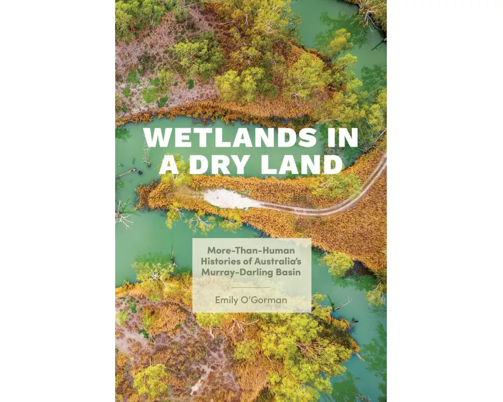 Wetlands in a Dry Land