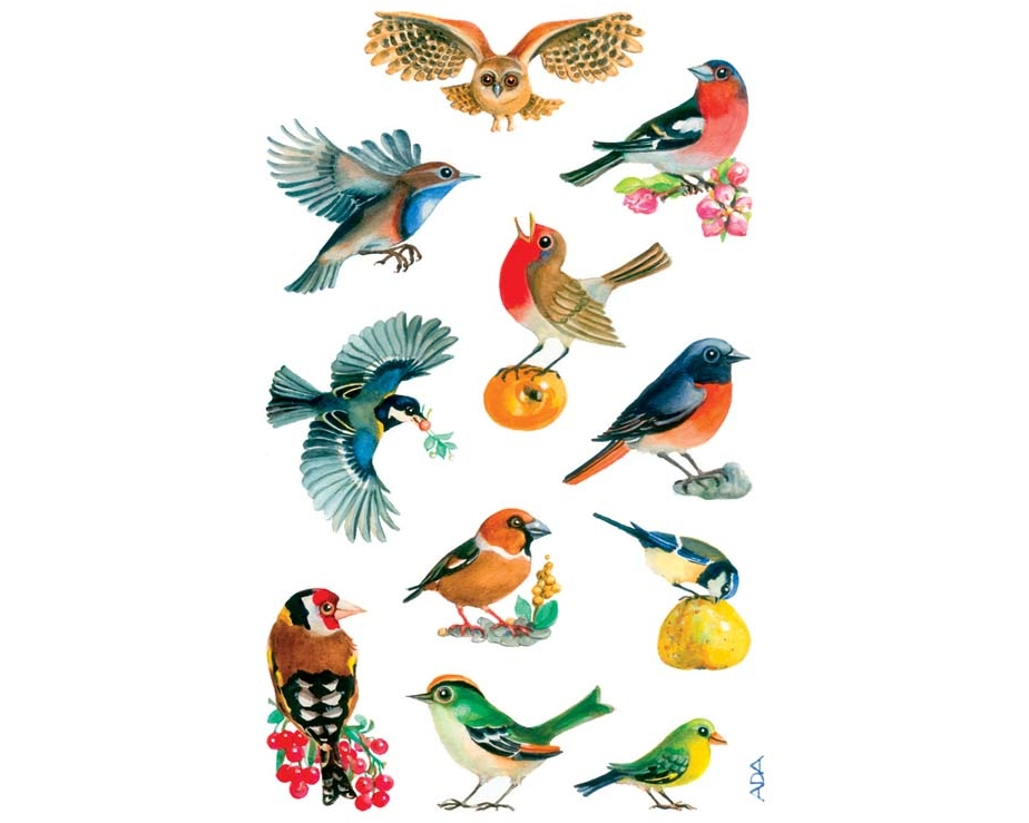 Z-DESIGN Sticker Creative 55713 Vögel 3 Stück