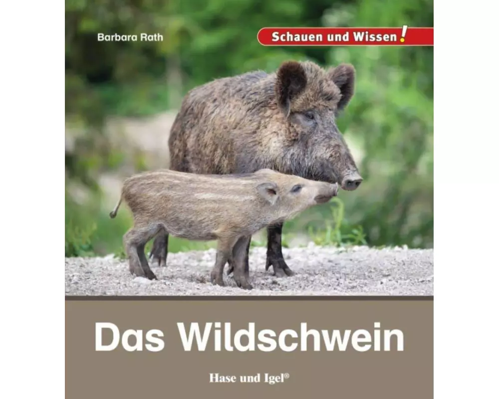 Das Wildschwein