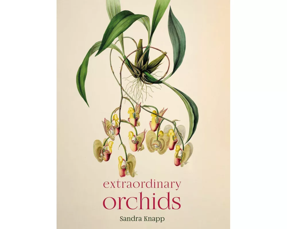Extraordinary Orchids