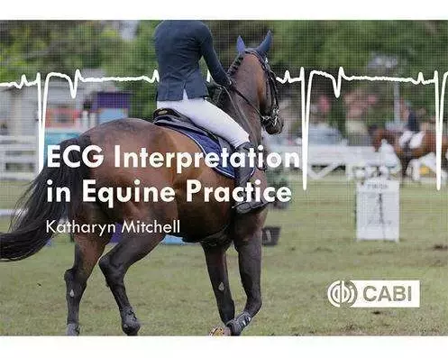 ECG Interpretation in Equine Practice