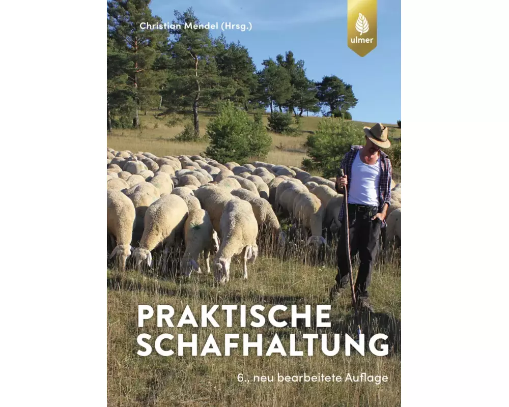 Praktische Schafhaltung