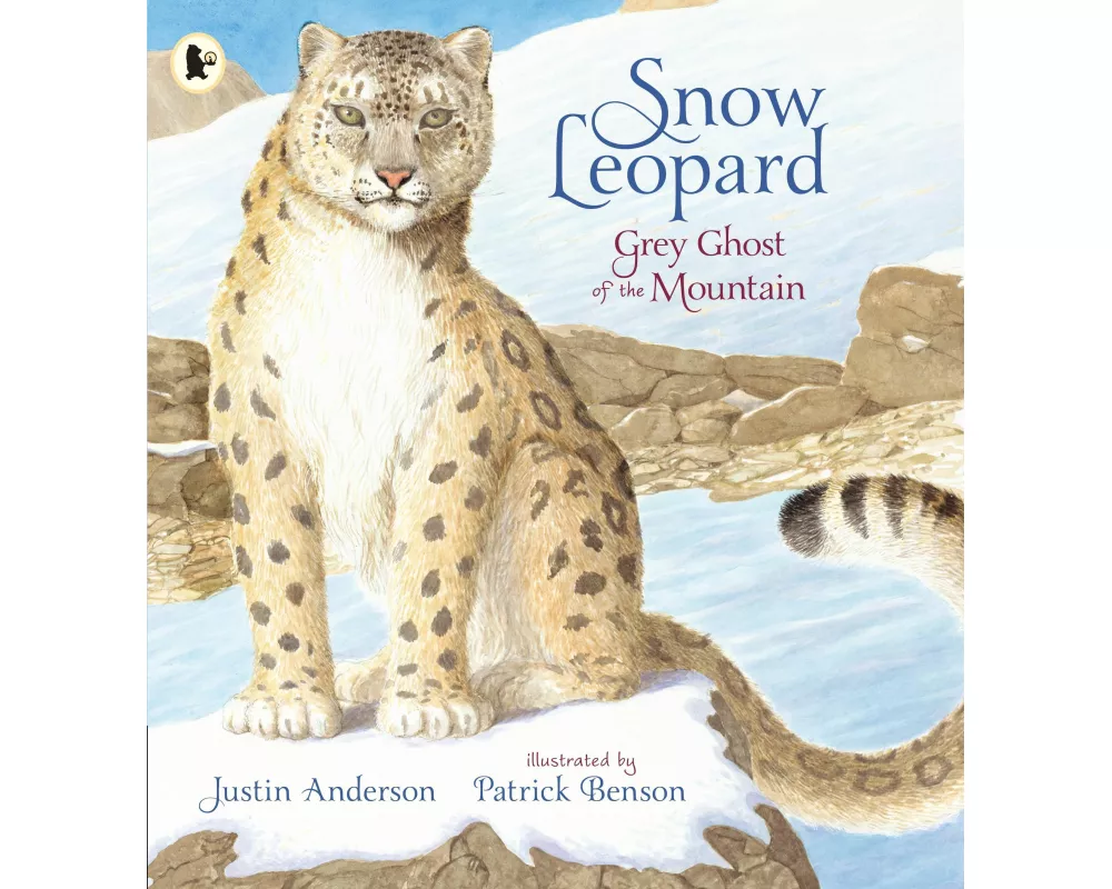 Snow Leopard: Grey Ghost of the Mountain