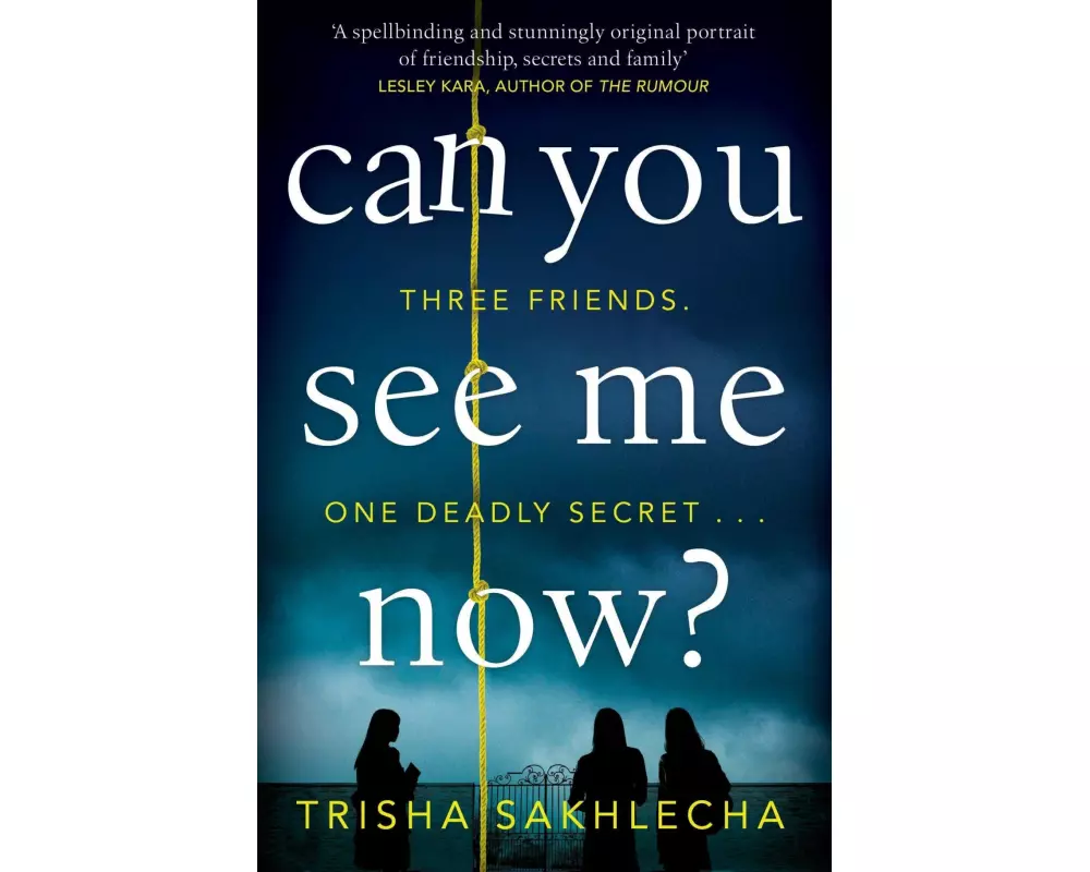 Can You See Me Now?
