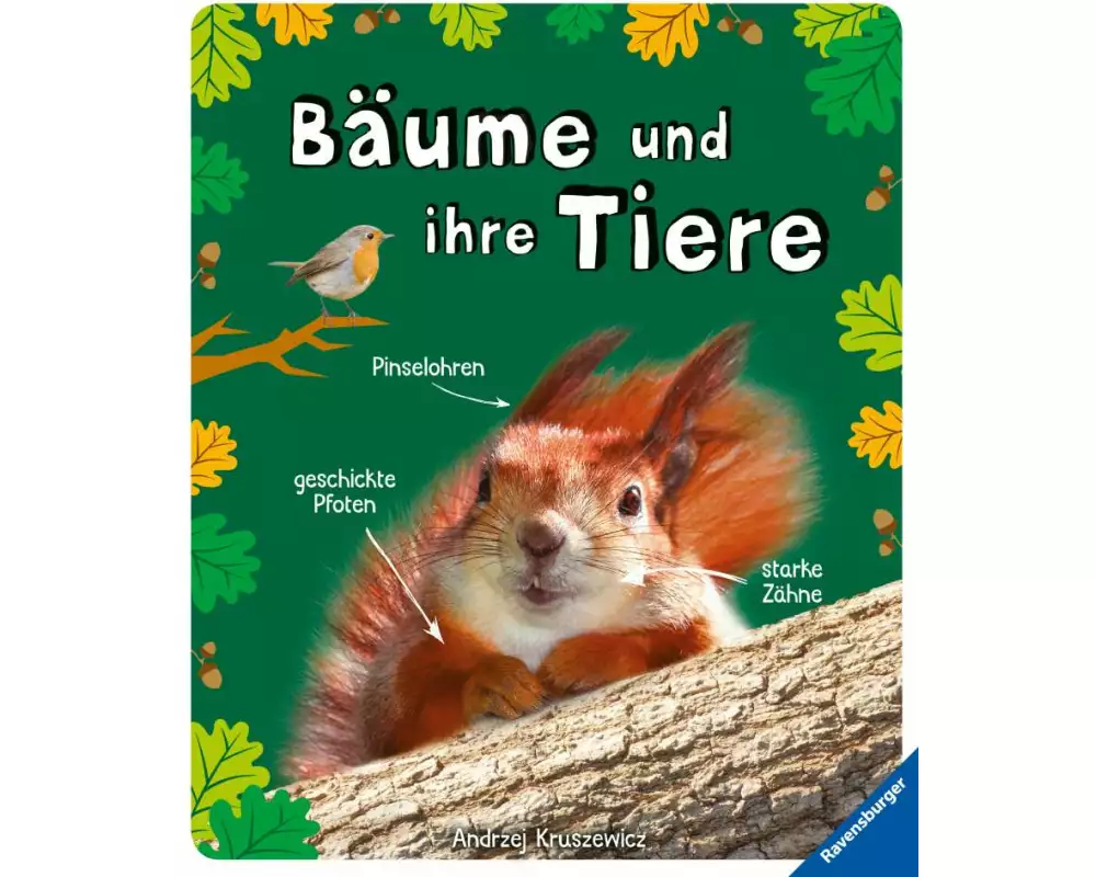 Bäume und ihre Tiere - das spannende Leben in unseren Wäldern, Hecken und Feldrainen (Flora und Fauna)
