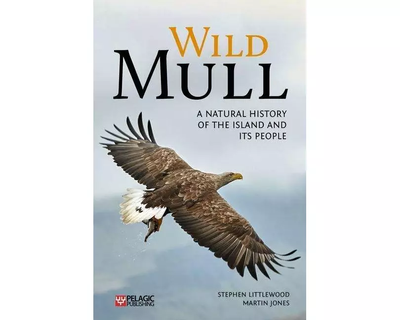 Wild Mull