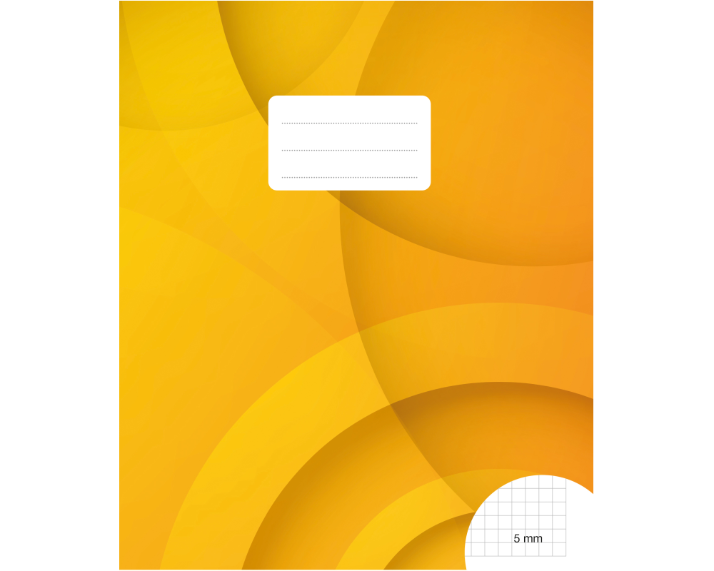 BÜROLINE Schulheft E5 533875006 5mm kariert mit Rahmen 90g