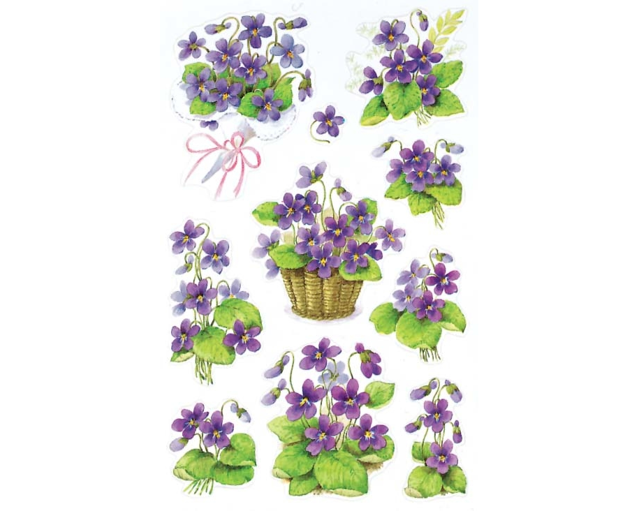 Z-DESIGN Sticker Creative 4317 Veilchen 2 Stück