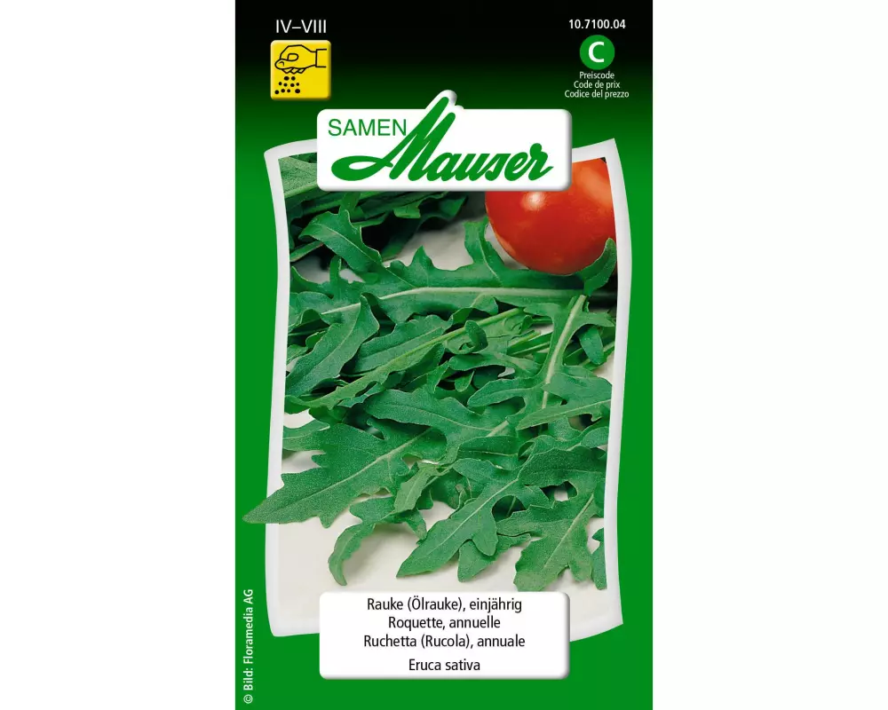 Samen Mauser Samen Rauke (Ölrauke), einjährig