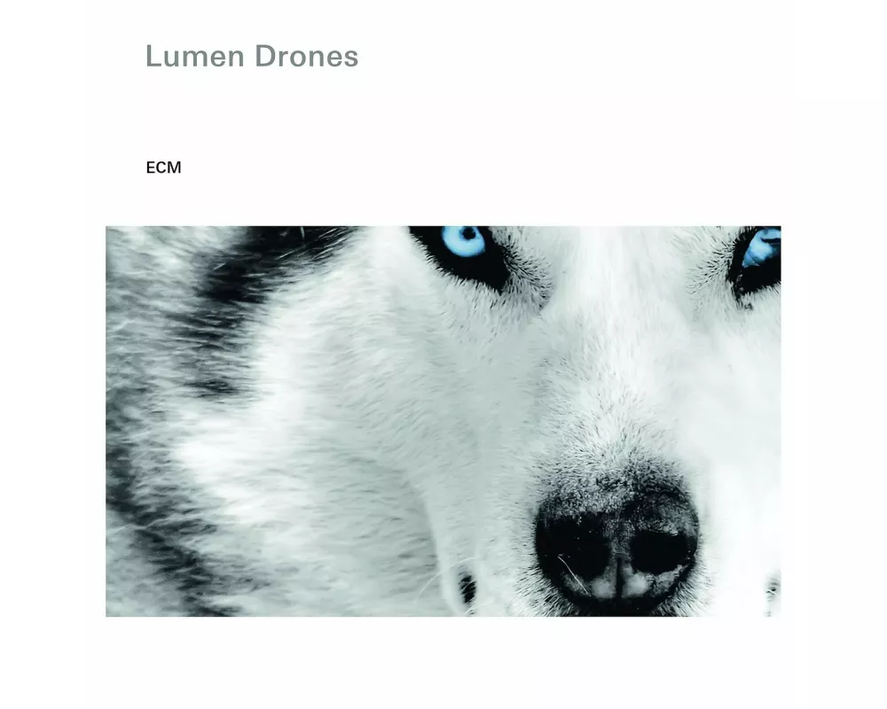 Lumen Drones