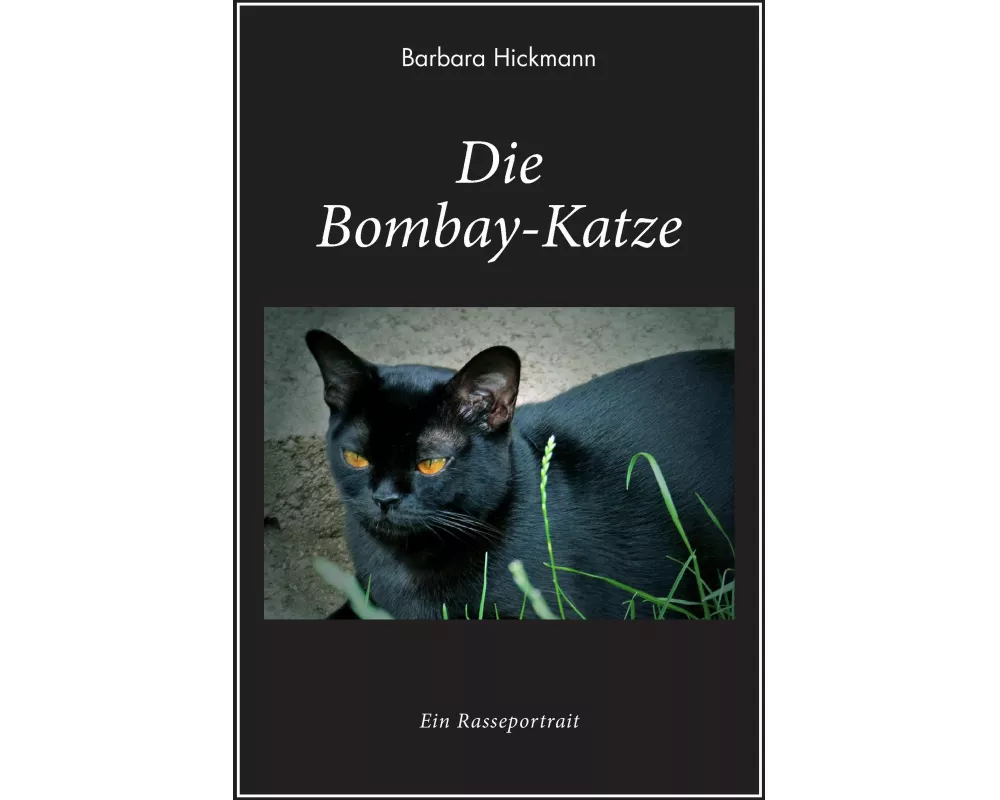 Die Bombay-Katze
