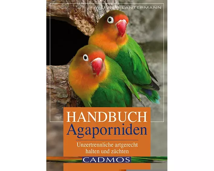 Handbuch Agaporniden