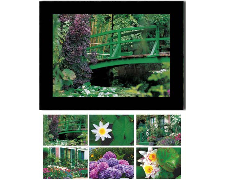 HASCHEMI Doppelkarten-Box 118 118 MONETS GARTEN