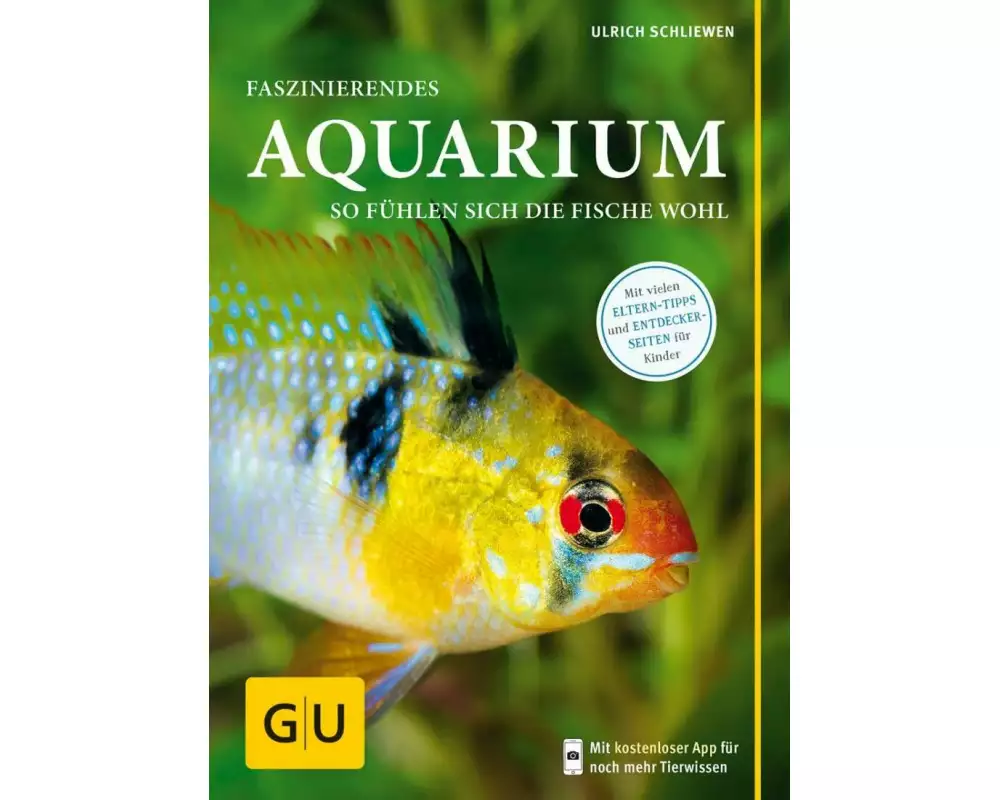 Faszinierendes Aquarium