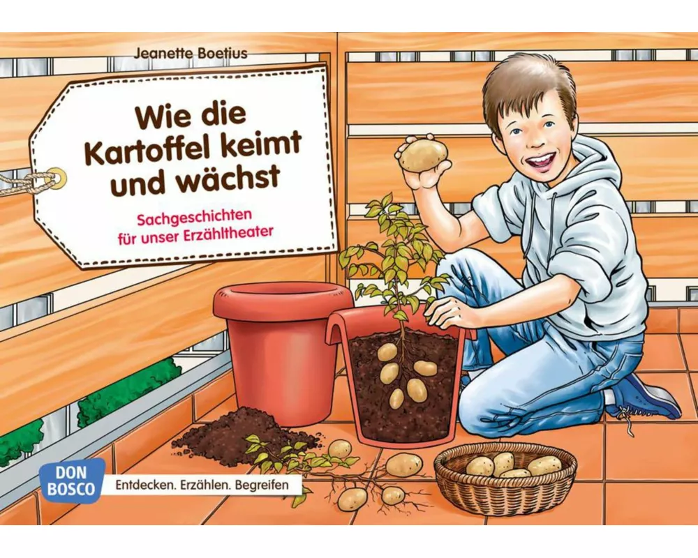 Wie die Kartoffel keimt und wächst. Kamishibai Bildkartenset