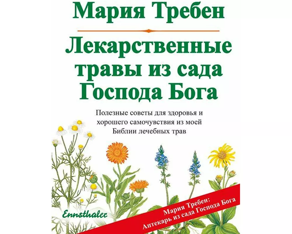 Heilkräuter aus dem Garten Gottes