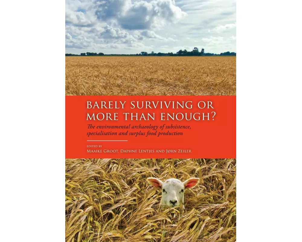 Barely Surviving or More than Enough?