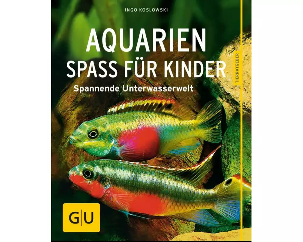 Aquarien - Spaß für Kinder