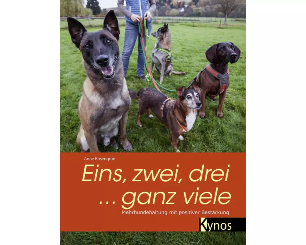 Eins, zwei, drei ... ganz viele