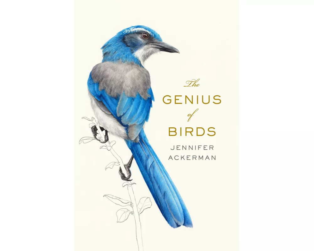 The Genius of Birds