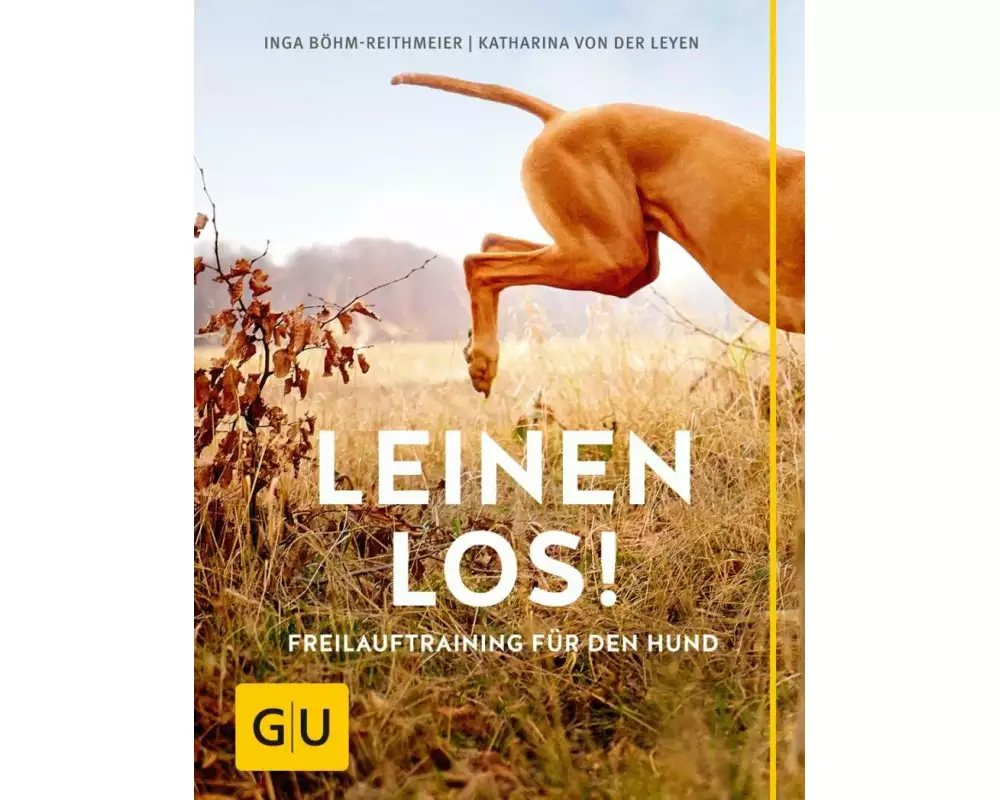 Leinen los! Freilauftraining für den Hund