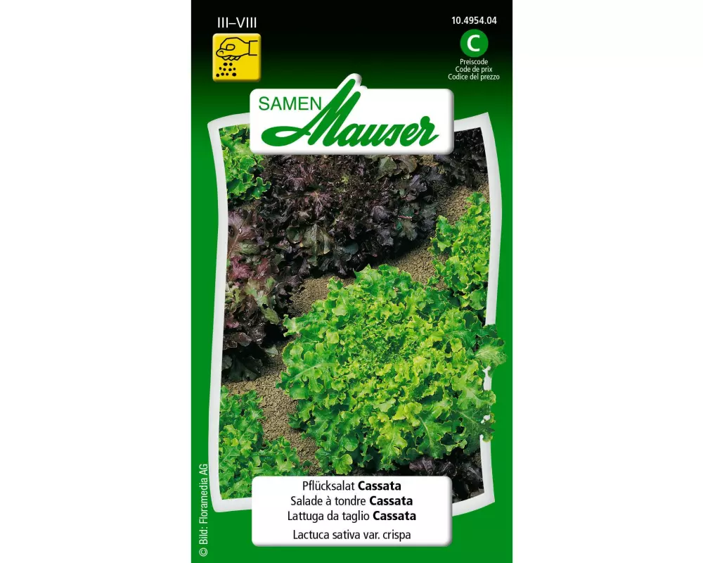 Samen Mauser Samen Pflücksalat Cassata