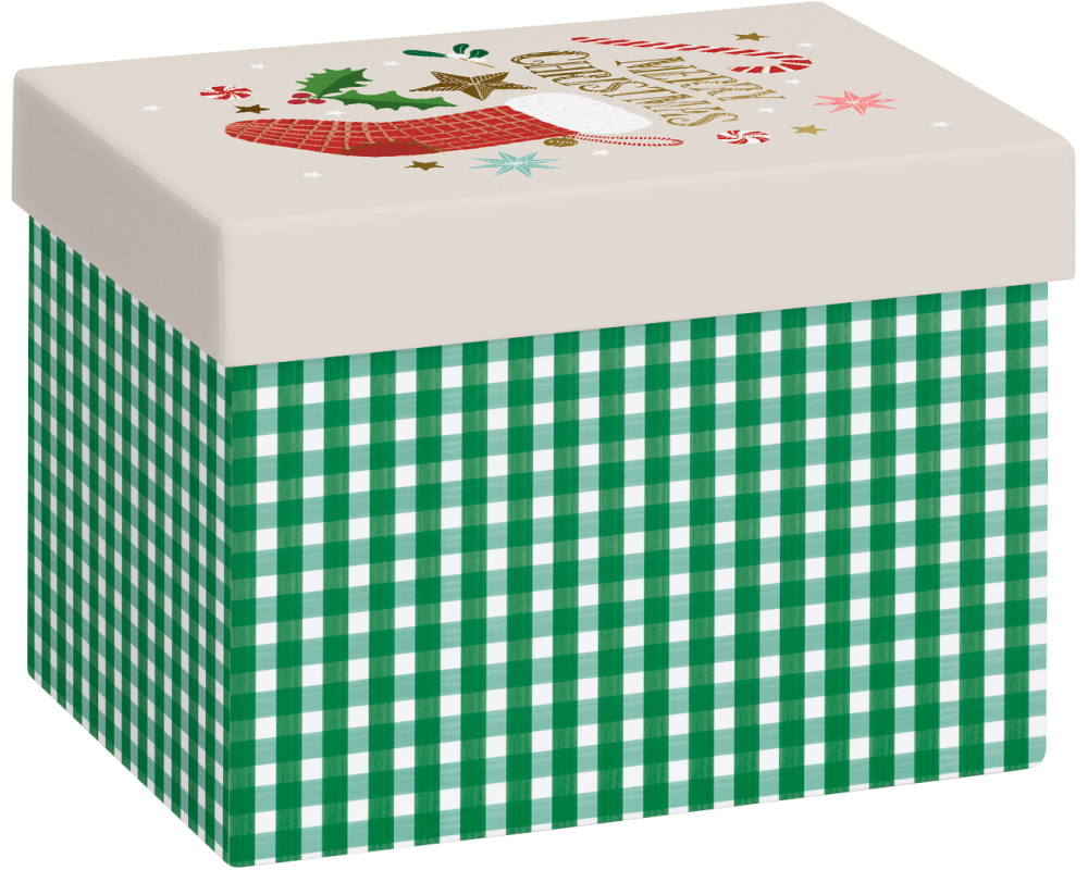 STEWO Geschenkbox Chralize 2551505698 grün 12x16.5x12cm