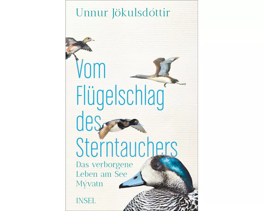 Vom Flügelschlag des Sterntauchers