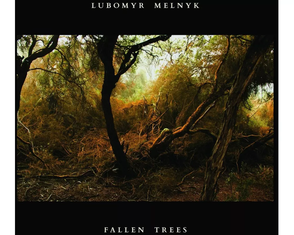 Fallen Trees