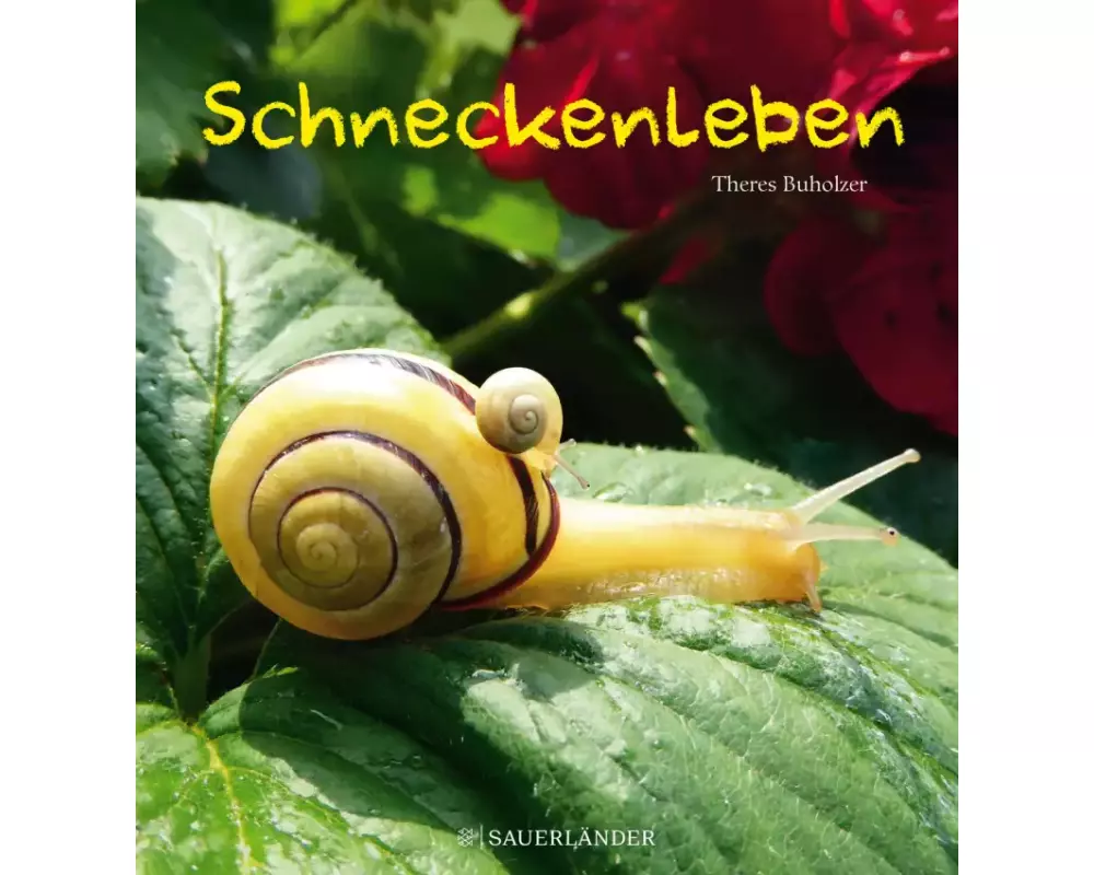 Schneckenleben