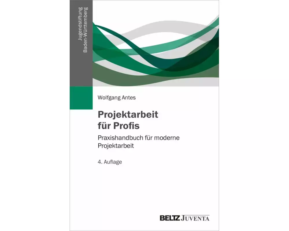 Projektarbeit für Profis