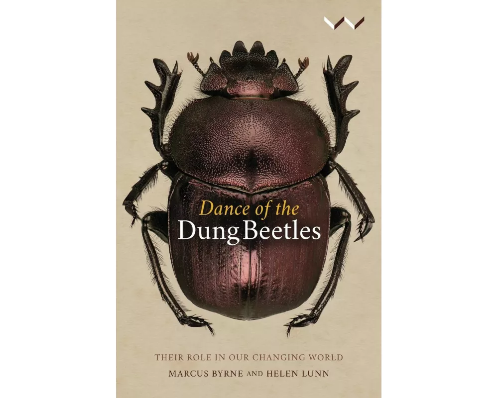 Dance of the Dung Beetles
