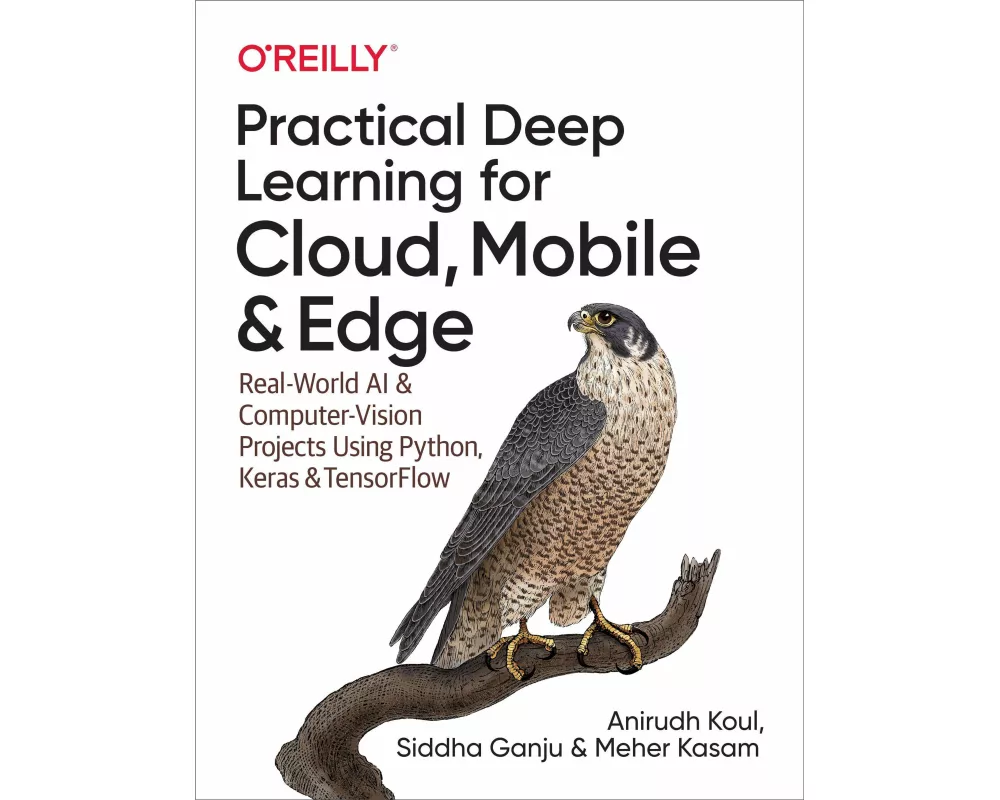 Practical Deep Learning for Cloud and Mobile