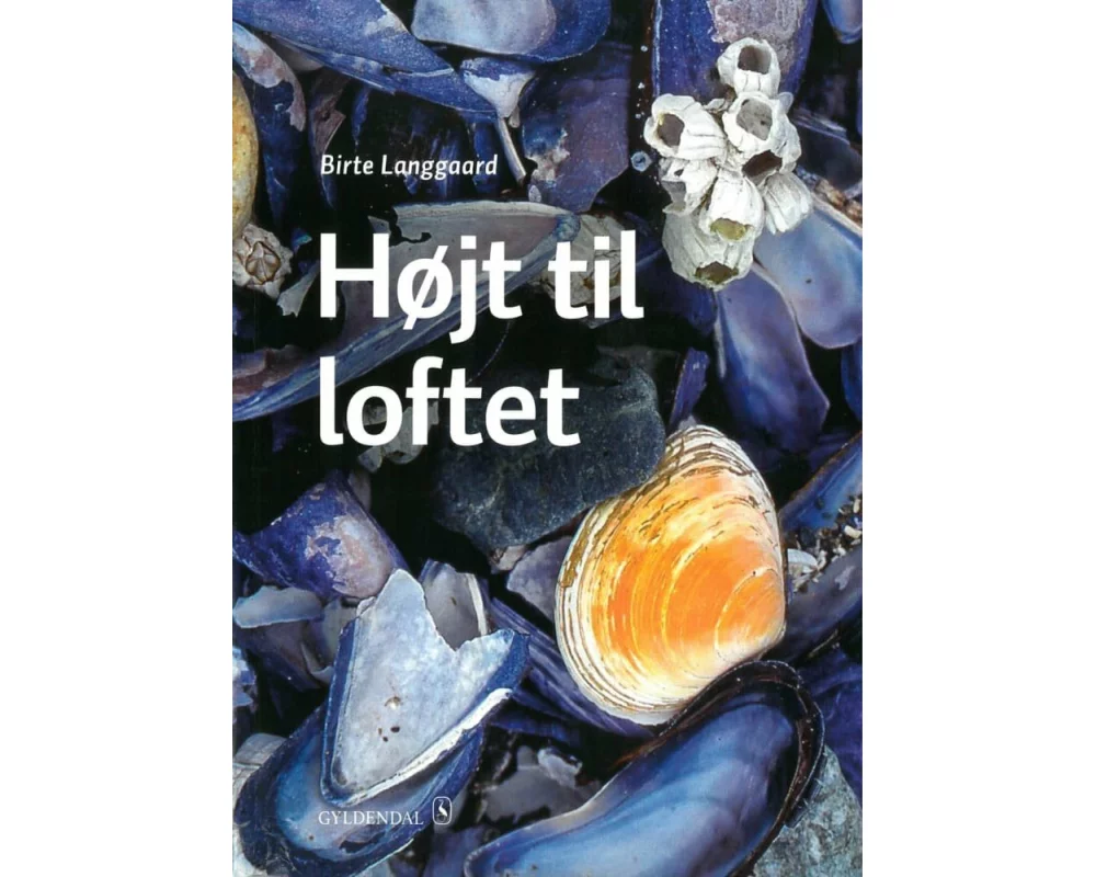 Højt til loftet B2