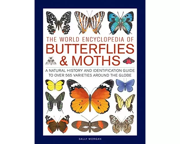Butterflies & Moths, The World Encyclopedia of