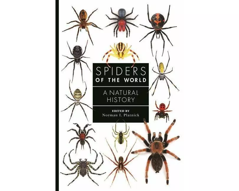 Spiders of the World