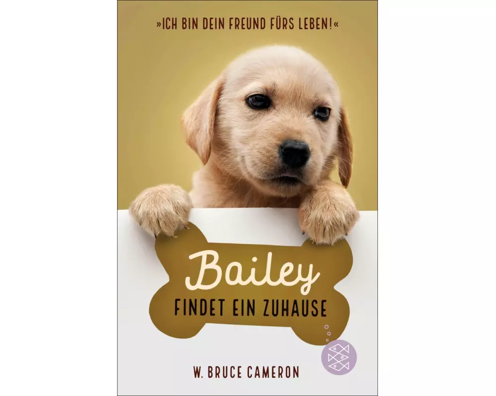 Bailey findet ein Zuhause